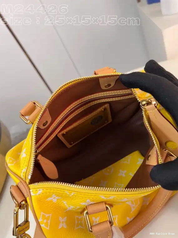 Aaa replica bags 25 Louis SPEEDY Vuitton 0529